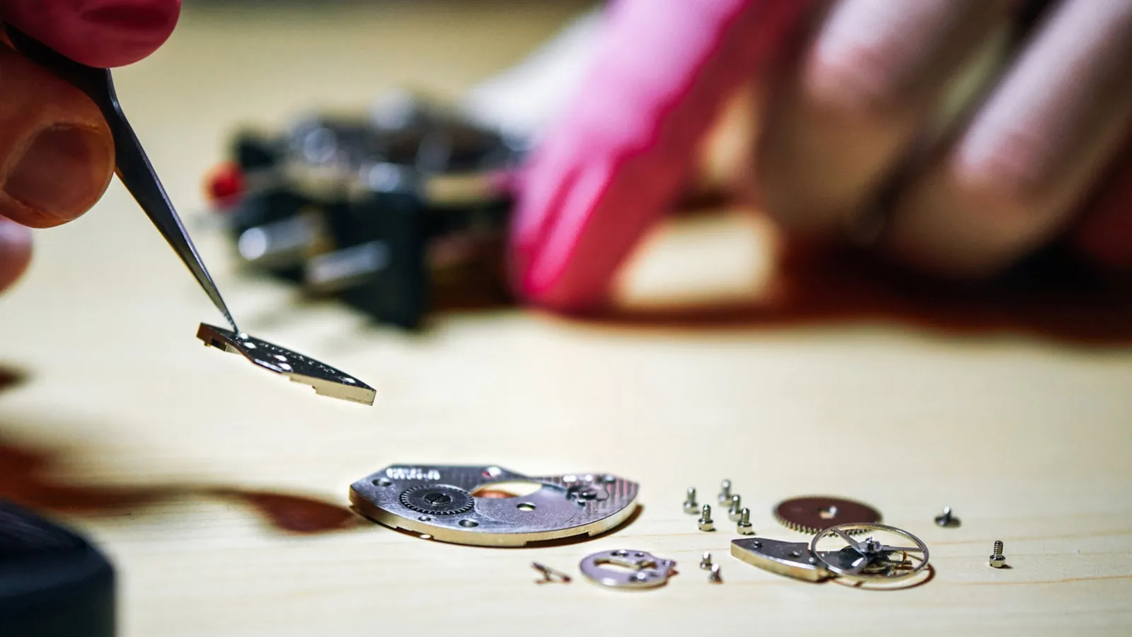 Tweezers lift a bridge above the parts of a disassembled movement, with screws, a wheel and the balance laid out on the bench