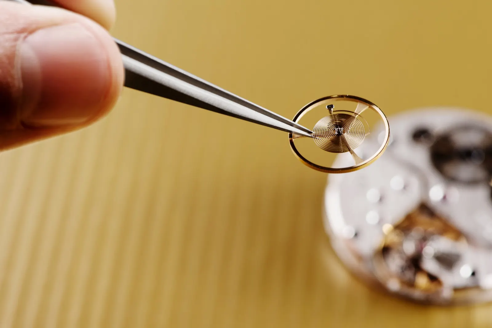 Tweezers holding a gold balance wheel with its hairspring above a movement